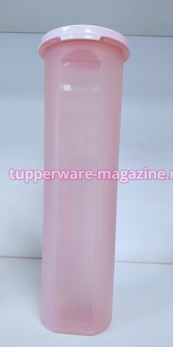 Компактус круглый (1,1 л)  в розовом цвете