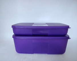 Набор Контейнеров "Система холодильник" 2 шт (650 мл, 1,5 л) в фиолет цвете